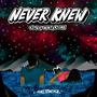 Never Knew (feat. Nic Wintertime) [Explicit]