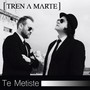 Te Metiste