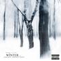 Winter (feat. Fr3x)