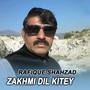 Zakhmi Dil Kitey