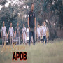 APDB ( Asosiasi Pengusaha Dekorasi Bali )