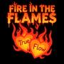 Fire In The Flames (feat. Tracey Meli) [S~F Remix] [Explicit]