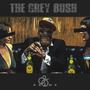 The Grey Bush (Explicit)