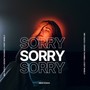 Sorry (Explicit)