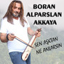 Sen Aşktan Ne Anlarsın