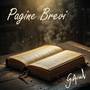 Pagine brevi