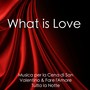 What Is Love - Musica Piano Romantico Strumentale per Tutti gli Innamorati, Musica Emozionale Rilassante per la Tua Piccola per la Cena di San Valentino & Fare l'Amore Tutta la Notte