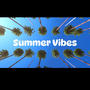 Summer Vibes (Explicit)