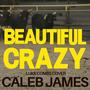Beautiful Crazy