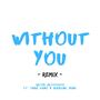 Without You (Remix)