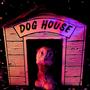 Dog House