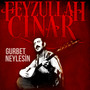 Gurbet Neylesin