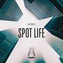 SPOTLIFE (AMAPIANO MIX)