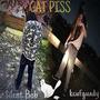 CATPISS prod. P4CKISTAN (feat. kcufgaudy) [Explicit]