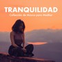 Tranquilidad: Collección de Música para Meditar, Dormir, Estudiar, Desestresarse,Trabajar y Lograr la Paz Interior