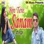 Bin Tere Sanam