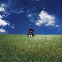 Antidepressant 3 (Explicit)