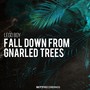 Fall Down from Gnarled Trees