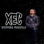 Steppers (UK Freestyle Version) [Explicit]