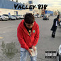 Valley 818