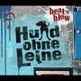 Hund ohne Leine