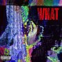 What (Explicit)