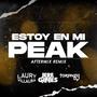 Estoy En Mi Peak (AfterMix) (feat. Jere Gines & Toranzo DJ)