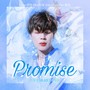 Promise