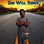 She Will (Remix) [Explicit]