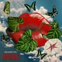 Lovesick (Explicit)