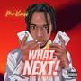 What Next (feat. Hitmakers4life) [Explicit]