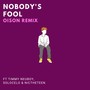 Nobody's Fool (Remix)