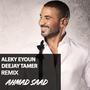 Aleky Eyoun عليكي عيون (DEEJAY TAMER Remix)