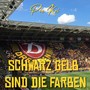 Schwarz Gelb sind die Farben
