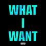 WHAT I WANT (Explicit)