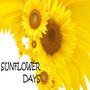 Sunflower Days (from the Musical 