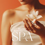 Relaxed Regeneration at Spa