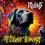 That Dog