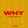 WHY (Explicit)