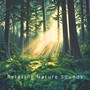 Forest Dreams: Nature's Sleep Symphony