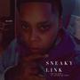 Sneaky link (feat. Juiced up Joey) [Explicit]