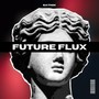 Future Flux