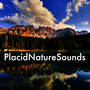 Placid Nature Sounds