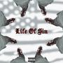 Life Of Sin (Explicit)