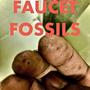 Faucet Fossils (Explicit)