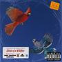 Birds of a Feather (Explicit)