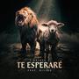 Te Esperaré (feat. Nillex)