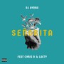 Señorita (feat. Chris B & Laety)