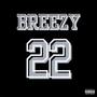 22 (feat. Icemaker) [Explicit]