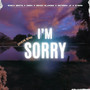 I'm Sorry (Remix)